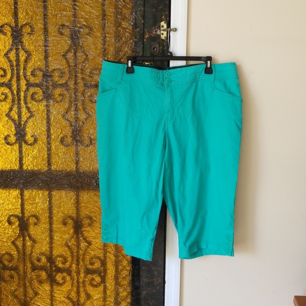 Lane Bryant Bottoms